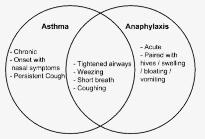 Asthma Vs Anaphylaxis Www - Circle, HD Png Download, Free Download