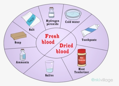 How To Get Blood Out Of Clothes Always Go With Cold - Cleaning, HD Png Download, Free Download