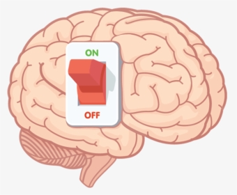 Switch On Brain, HD Png Download, Free Download