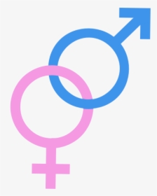 Male And Female Symbols-1574104117 - Transgender Symbol, HD Png Download, Free Download