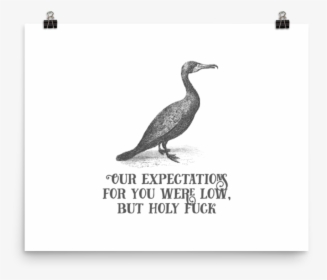 Our Expectations For You Were Low, But Holy Fuck Poster"  - Poster, HD Png Download, Free Download