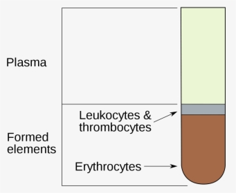 Hematocrit Meaning In Urdu, HD Png Download, Free Download