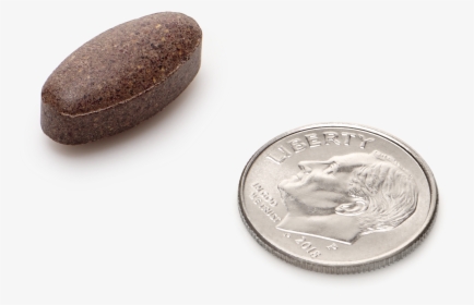 Coin, HD Png Download, Free Download