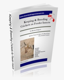Keeping & Breeding Crickets As Feeder Insects - Brochure, HD Png Download, Free Download