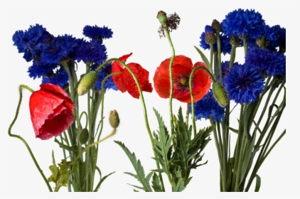Bouquet, HD Png Download, Free Download