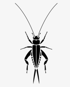 The Cricket - Longhorn Beetle, HD Png Download, Free Download
