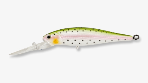 Trout, HD Png Download, Free Download