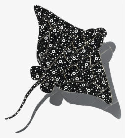 Er24 36 Sh 36in Eagle Ray - Spotted Eagle Ray, HD Png Download, Free Download