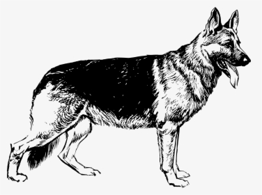 Snarling Dog Clipart Png Snarling Dog Jpg Transparent - German Shepherd Black And White, Png Download, Free Download