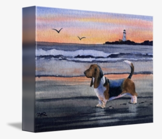 Basset Hound By David Rogers Watercolor Art - Basset Hound, HD Png Download, Free Download