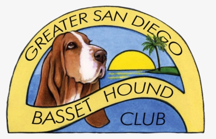 Basset Hound, HD Png Download, Free Download