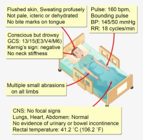 Diagram, HD Png Download, Free Download