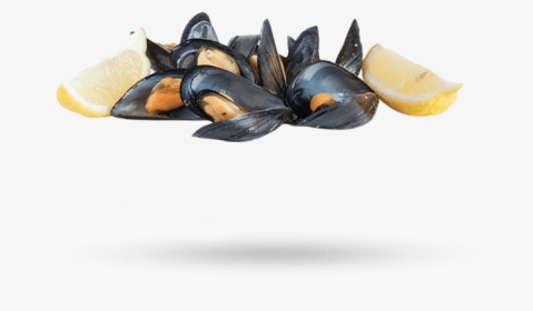 Prince Edward Island Blue Mussels - Mussel, HD Png Download, Free Download