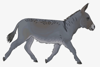 Burro, HD Png Download, Free Download