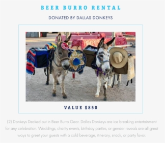 Raffle Item 18 - Burro, HD Png Download, Free Download