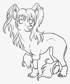 Free Chinese Crested Dog Lineart - Line Art, HD Png Download, Free Download