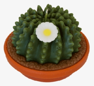 Cactus Candle, HD Png Download, Free Download