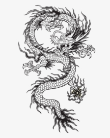 Japanese Clipart Dragon Japanese - Chinese Dragon Tattoo, HD Png Download, Free Download
