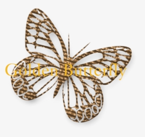 Gold, HD Png Download, Free Download