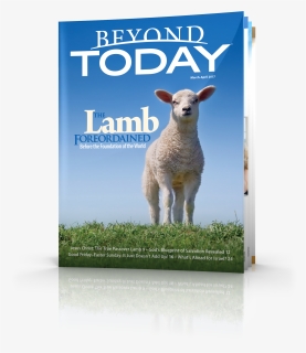 Beyond Today Magazine - Sheep, HD Png Download, Free Download