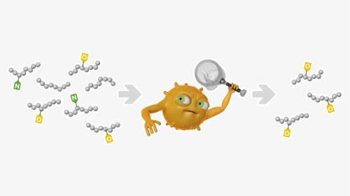Enzymes For O-glycans - Cartoon, HD Png Download, Free Download