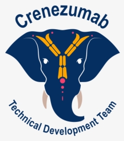 Akb Crenezumablogo - Research And Development, HD Png Download, Free Download