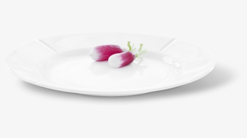 Gc Plate Oe27 Cm White Grand Cru - Rose, HD Png Download, Free Download