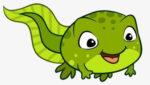 Tadpole Clipart, HD Png Download, Free Download