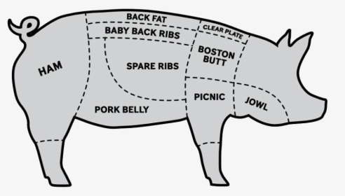 Labeled Pig Parts - Domestic Pig, HD Png Download, Free Download