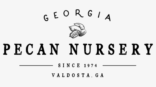 Georgia Pecan Nursery - Pecan Nut Logo, HD Png Download, Free Download