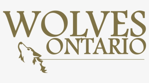 Ontario Wolf Survey - Graphic Design, HD Png Download, Free Download