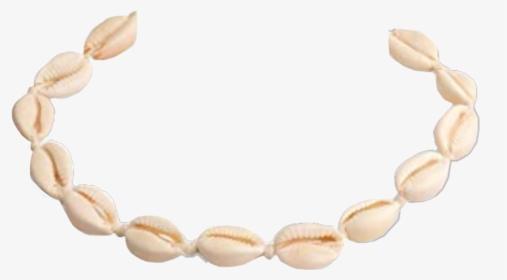 #vsco Girl #vsco #puka Shell #shell Neckless #freetoedit - Vsco Girl Shell Necklace, HD Png Download, Free Download