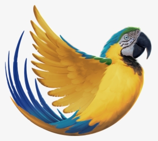 Macaw, HD Png Download, Free Download