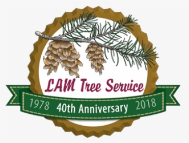 Lam Tree 40th Anniversary Logo - Handmade Cards For Winter, HD Png Download, Free Download