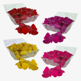 Premium Your Choice Of Color Rose Petals - Bougainvillea, HD Png Download, Free Download