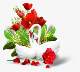 Real Flowers Image Download, HD Png Download, Free Download