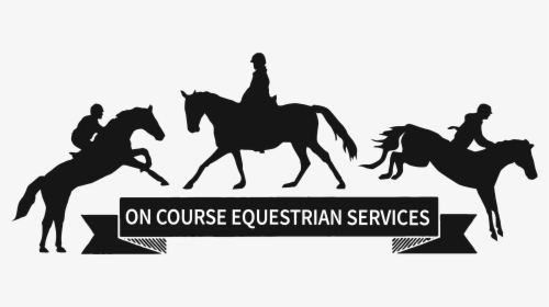 On Course Equestrian Services - Stallion, HD Png Download, Free Download