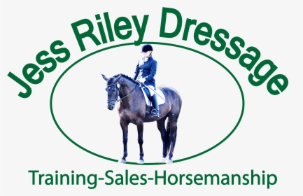 Lessons And Schooling, Jess Riley Dressage, Dressage - Stallion, HD Png Download, Free Download
