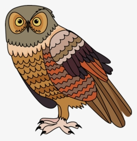 Owl, HD Png Download, Free Download