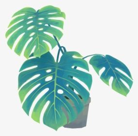 #3d #plant #green #monstera - Transparent Aesthetic Plant Gif, HD Png Download, Free Download