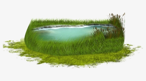 #pond #water #grass - Water Pond Pond Icon, HD Png Download, Free Download