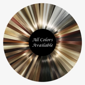 Color, HD Png Download, Free Download