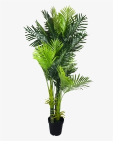 Multi Trunk Artificial Hawaii Palm Tree - Indoor Palm Tree Png, Transparent Png, Free Download