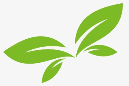 Leaftoc Technologies - Leaf Vector Logo Png, Transparent Png, Free Download