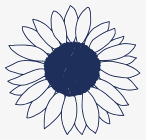 White Sunflower Png Images Free Transparent White Sunflower