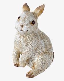 Rabbit Standing - Domestic Rabbit, HD Png Download, Free Download
