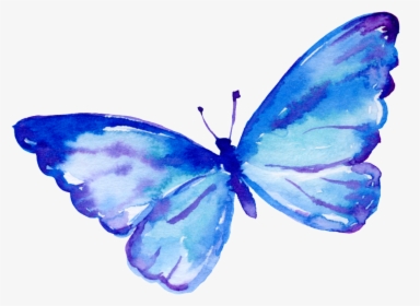 Flying Butterfly Cartoon Transparent - Portable Network Graphics, HD Png Download, Free Download