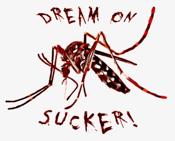 Gxpdesign Mosquito Tiger Vector Art Dream On Sucker - Mosquito Tigre, HD Png Download, Free Download