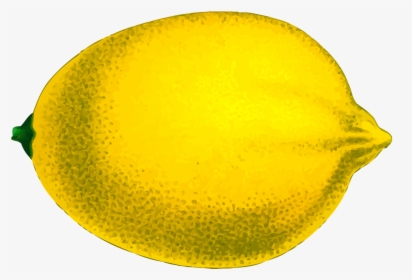 Lemon, HD Png Download, Free Download