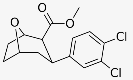 File - Singh 90fg - Svg - Chemical Structure Of Lupinus, HD Png Download, Free Download